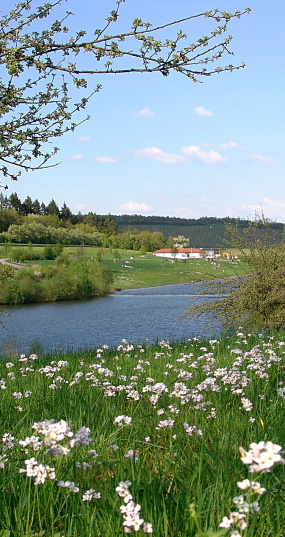 Der Außenbereich