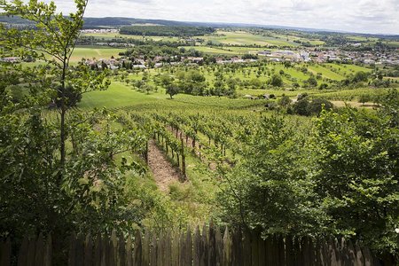 Blick auf Ötisheim, Bild (C) Claudia Fy